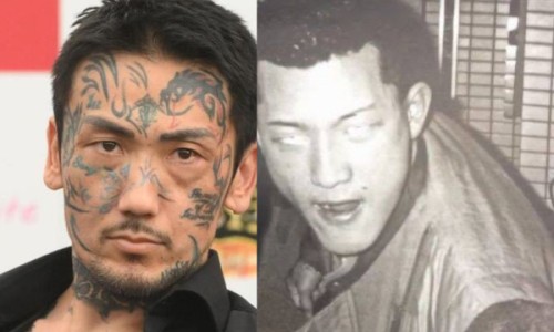 蚕蛹蛋白粉的功效网 - 为你提供蚕蛹有什么用处和功效、蚕蛹蛋白粉的功效与作用
