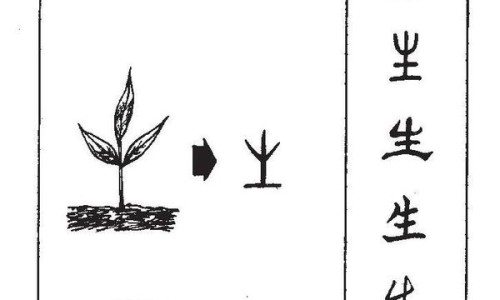 蚕蛹蛋白粉的功效与作用及禁忌-蚕蛹蛋白粉的功效网 - 为你提供蚕蛹有什么用处和功效、蚕蛹蛋白粉的功效与作用
